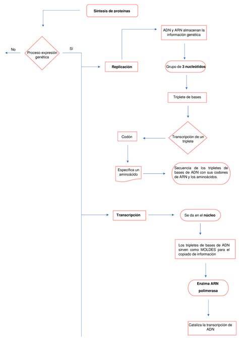 diagrama de etapas de alicatado de piscina
