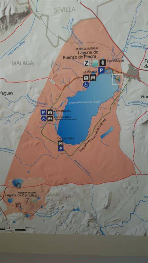 mapa de la Laguna de Fuente de Piedra y entorno