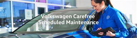 mantenimiento carefree VW