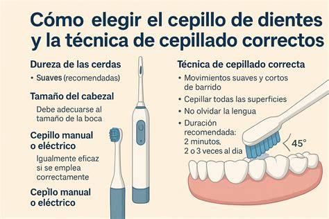 diagrama de instalación de cepillo cepillado