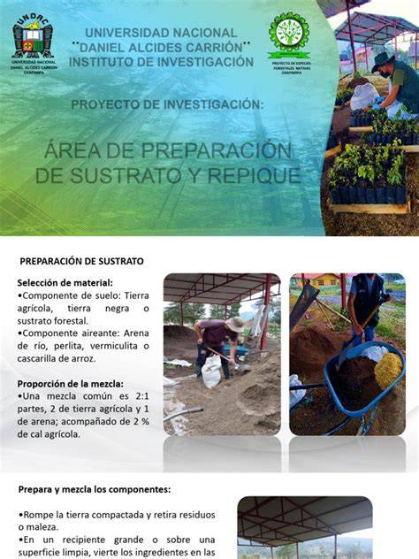 grafico de preparación de sustratos y zonas