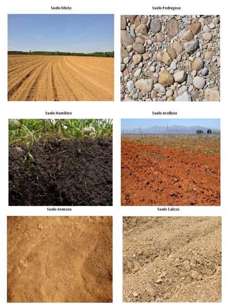 ejemplos de suelos naturales