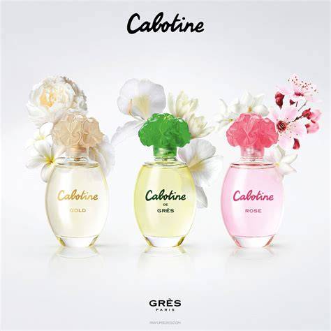cabotine-grès-fragancia-infografica