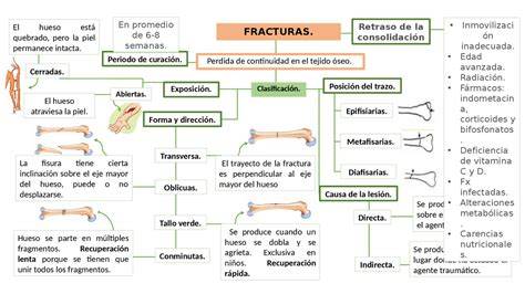 esquema de fracturas de falange y radiocarpiana