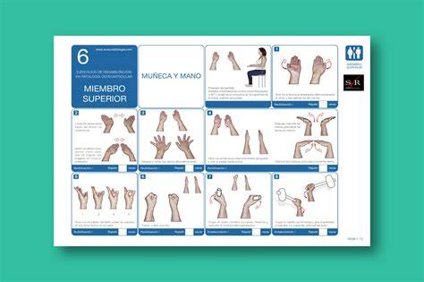 conjunto de ejercicios de mano para rehabilitación