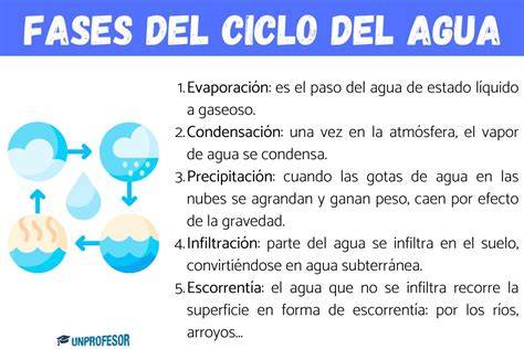 infografico procesos enlucido y sus fases
