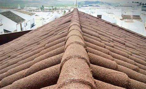 aplicaciones del corcho proyectado