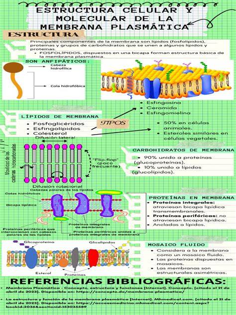 infografía de estructura de oposiciones TCEE