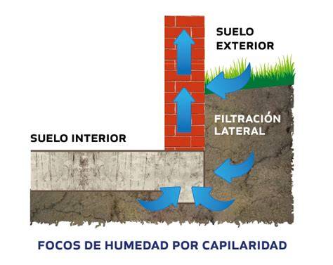 Diagrama de humedades por capilaridad y filtración (7 palabras)