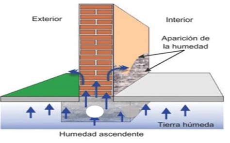 Ejemplo de humedades por filtración en muro (8 palabras)