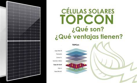 células TOPCon monocristalinas detalle