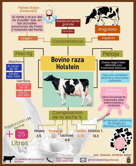 tablero de características de Elondo (infografía)